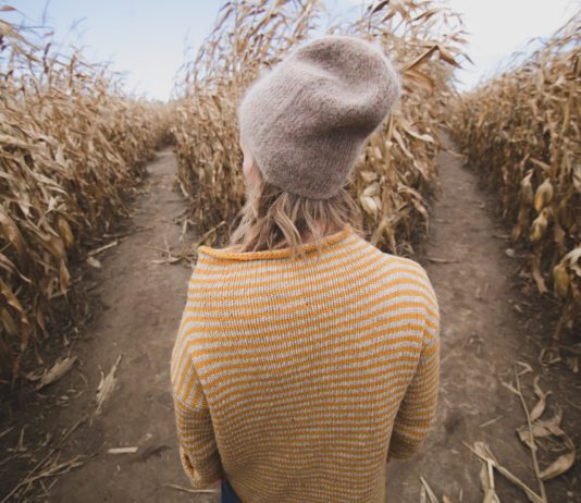 Krisenzeiten als Chance begreifen