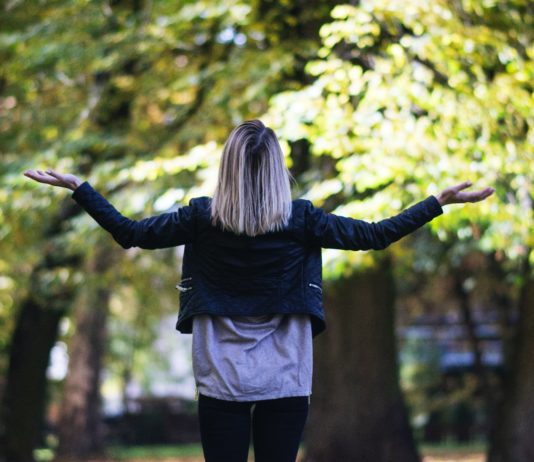 Die Kunst des Leitens XI: Die Frage nach dem „Warum“