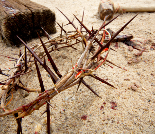 Der Sühnetod Jesu: Notwendig oder überflüssig?