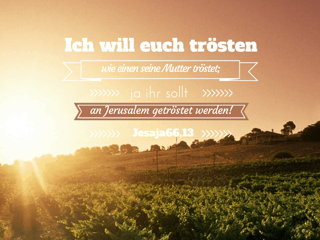 Mein Senf zur Jahreslosung 2016